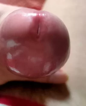 鸭鸭，会舔，可调教